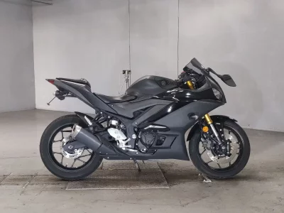 Yamaha YZF-R3 2019