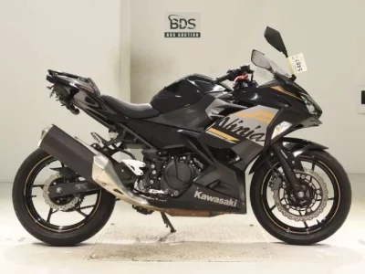 Kawasaki NINJA400-2 2019