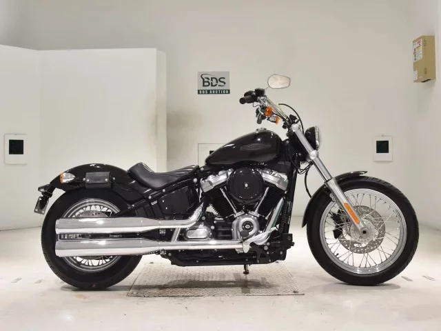 Harley-Davidson HARLEY FXST1750 лот № 0195 оценка 5  с аукциона в Японии