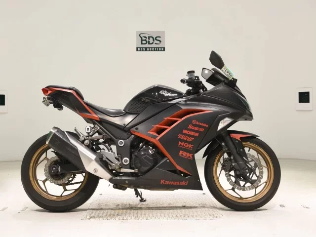 Kawasaki NINJA250 лот № 7942 оценка 4  с аукциона в Японии