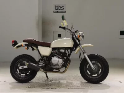 Honda APE50