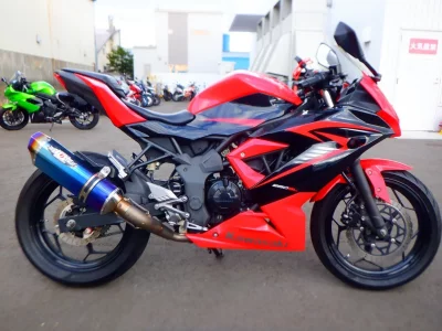 Kawasaki Ninja 250SL