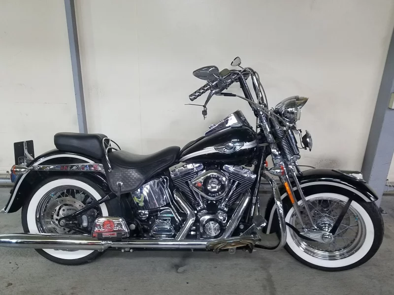 Harley-Davidson HARLEY FLSTSI 100TH