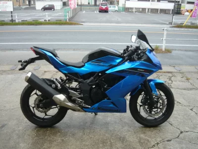 Kawasaki Ninja 250SL