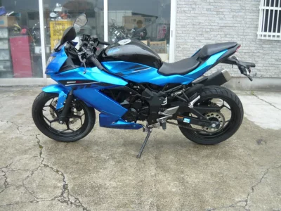 Kawasaki Ninja 250SL