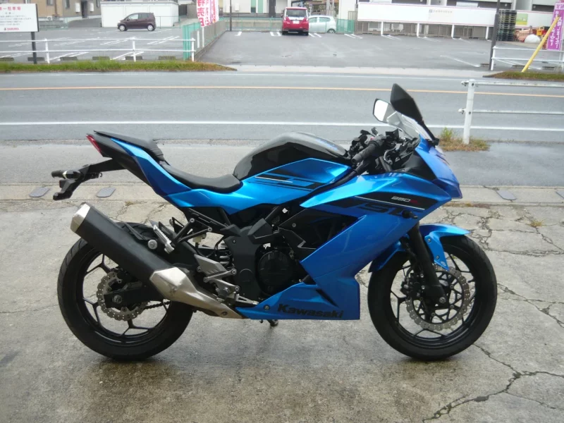 Kawasaki Ninja 250SL