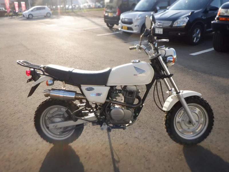 Honda APE100