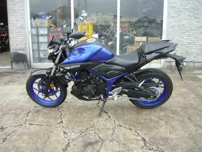 Yamaha MT-25