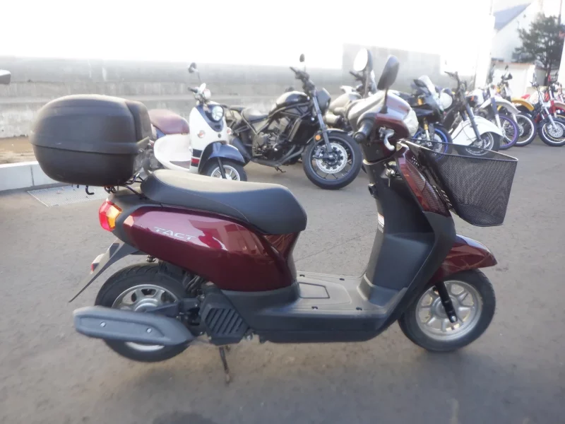 Honda TACT BASIC