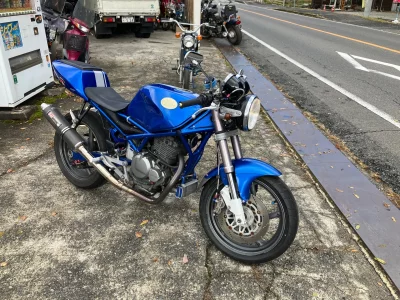 Suzuki GOOSE350