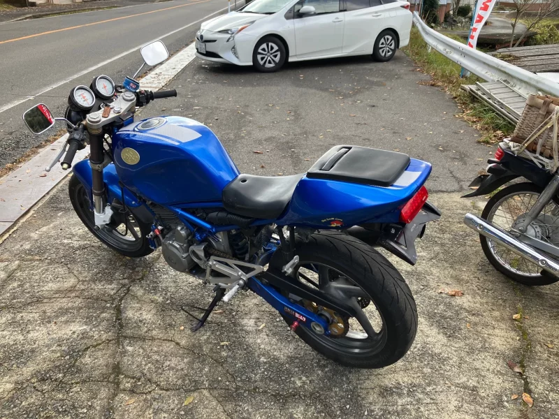 Suzuki GOOSE350
