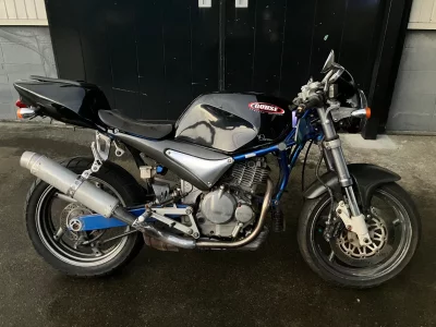 Suzuki GOOSE350