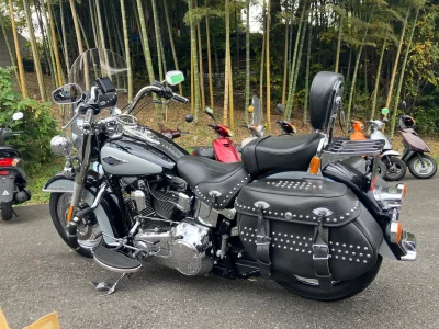Harley-Davidson HARLEY FLSTC