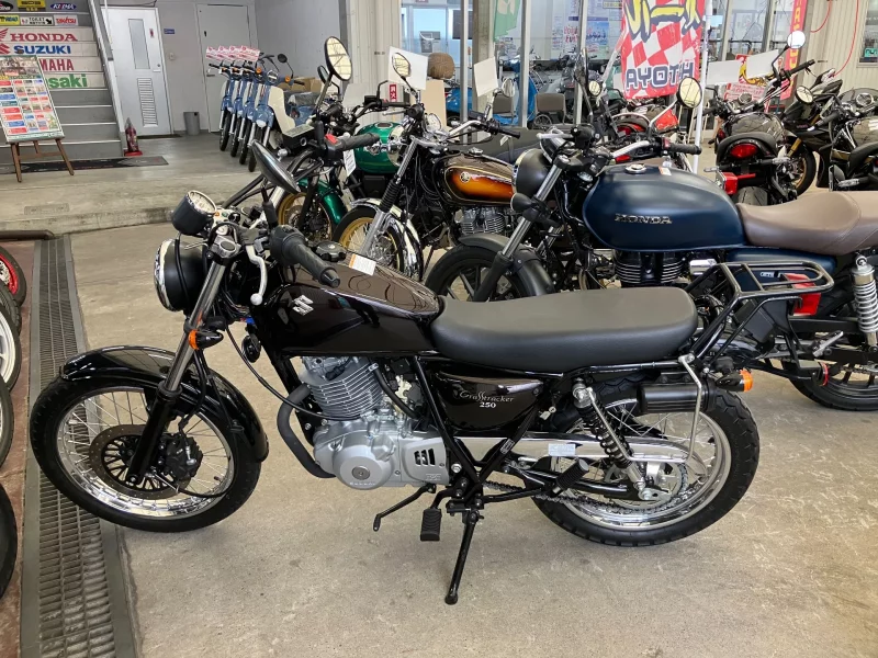 Suzuki GLASS TRACKER BIG BOY