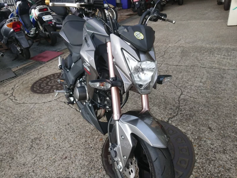 Kawasaki Z125 PRO