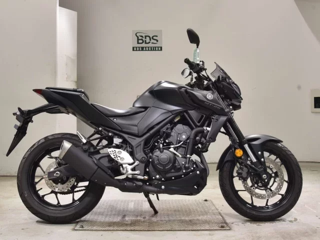 Yamaha MT-25A лот № 2689 оценка 5  с аукциона в Японии