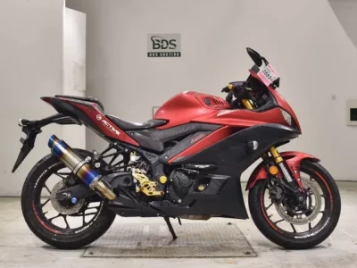 Yamaha YZF-R3 2019