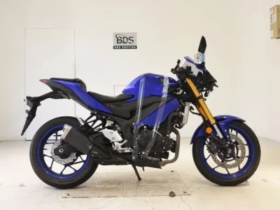 Yamaha YZF-R3 2019