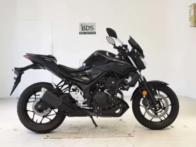 Yamaha MT-03 2019