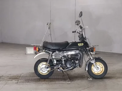 Suzuki EPO