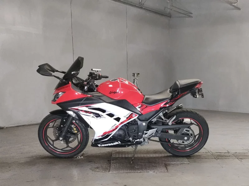 Kawasaki NINJA250