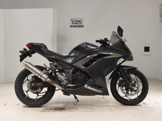 Kawasaki NINJA250 лот № 0171 оценка 4  с аукциона в Японии
