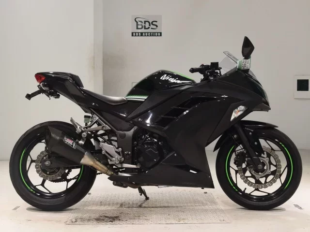 Kawasaki NINJA250ABS лот № 0255 оценка 4  с аукциона в Японии