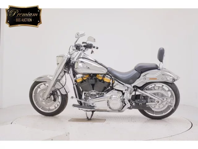 Harley-Davidson HARLEY FLSTFI1920