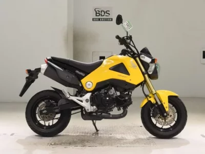 Honda GU ROM