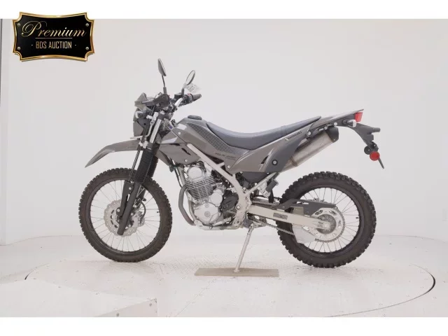 Kawasaki KLX230 SHERPA
