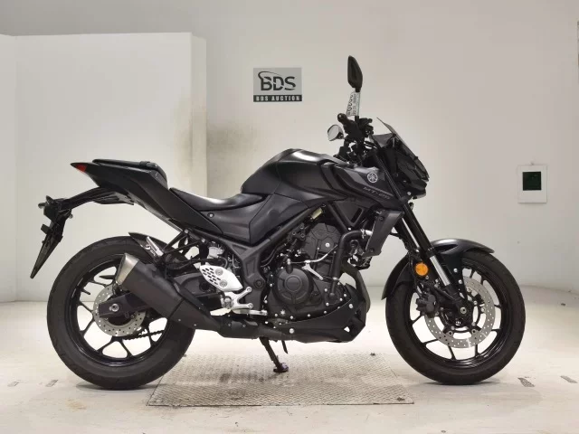 Yamaha MT-25A лот № 3020 оценка 5  с аукциона в Японии