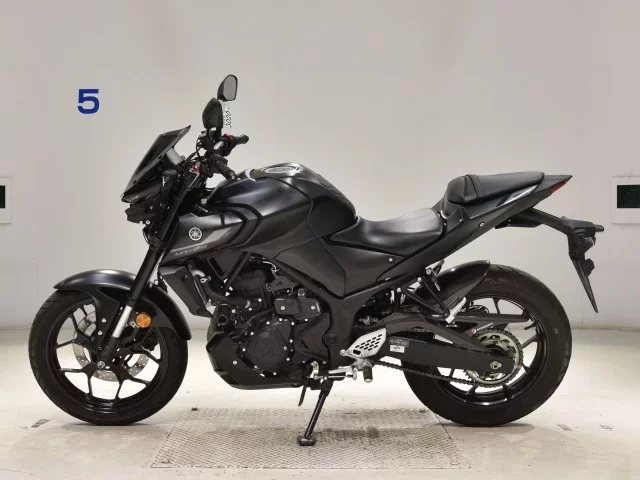 Yamaha MT-25A