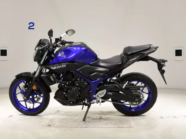 Yamaha MT-25