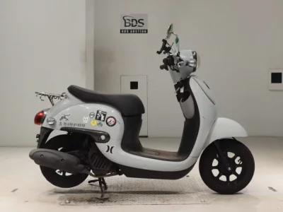 Honda GIORNO -3