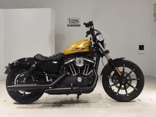 Harley-Davidson HARLEY XL883N лот № 0144 оценка 5  с аукциона в Японии