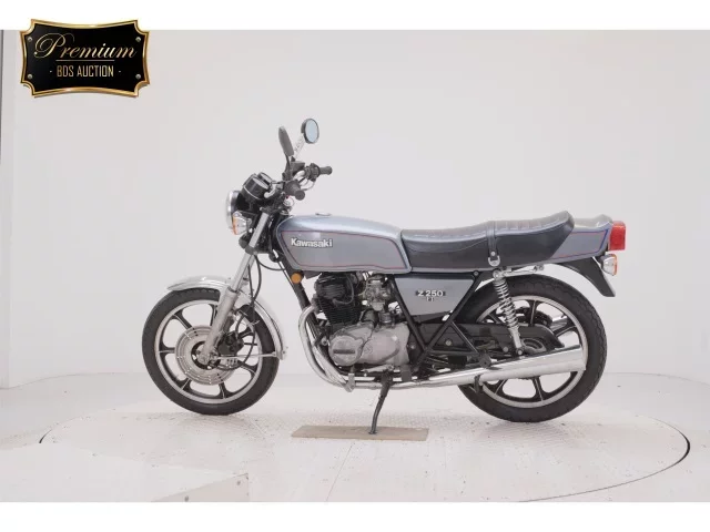 Kawasaki Z250FT