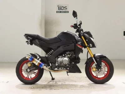 Kawasaki Z125PRO