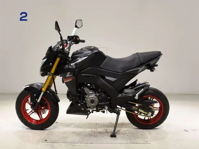 Kawasaki Z125PRO