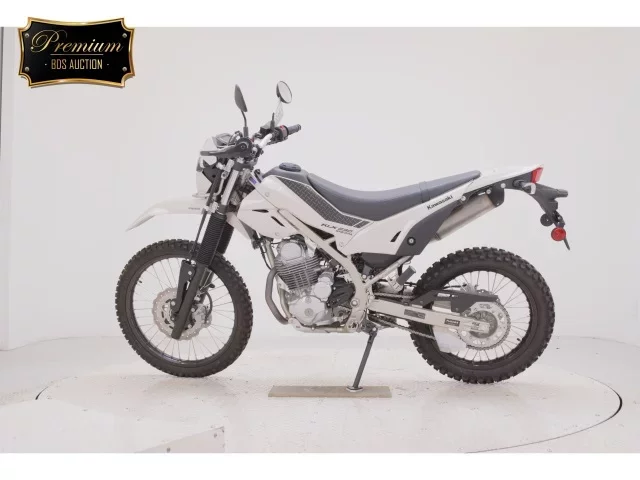 Kawasaki KLX230 SHERPA