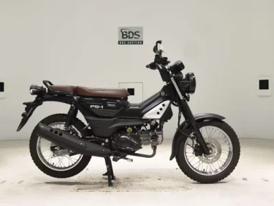 Yamaha PG-1