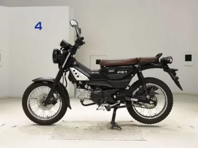 Yamaha PG-1