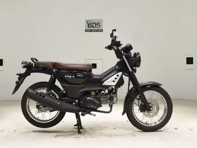 Yamaha PG-1