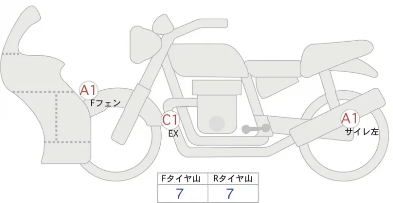 Suzuki Hayabusa