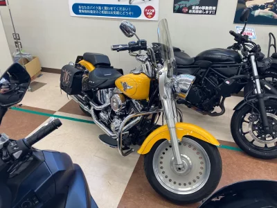 Harley-Davidson HARLEY FLSTF1340-1450