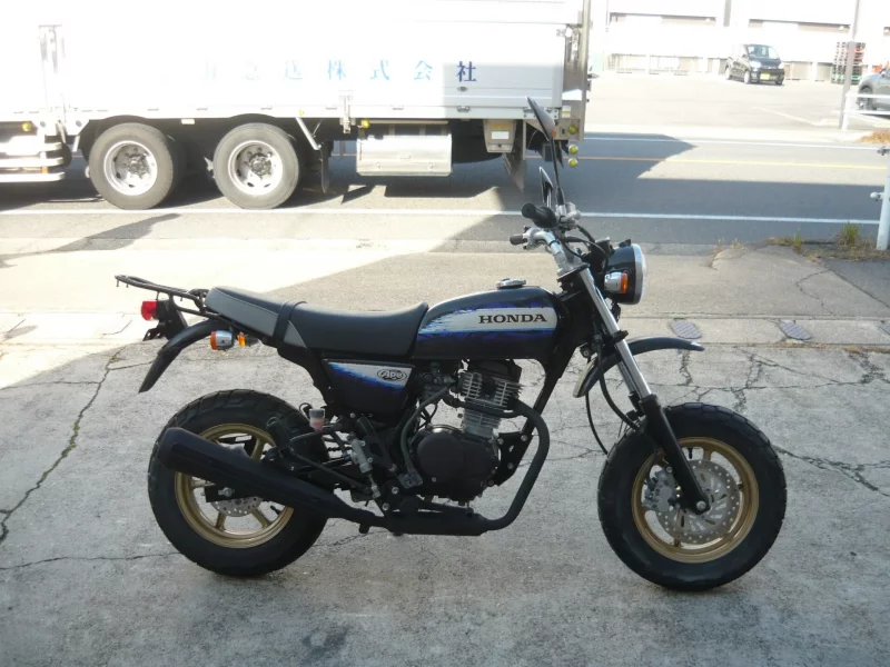 Honda APE100 TYPE D