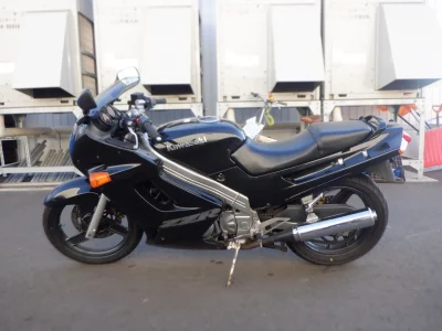 Kawasaki ZZR250