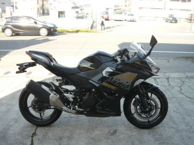 Kawasaki Ninja 400 2020