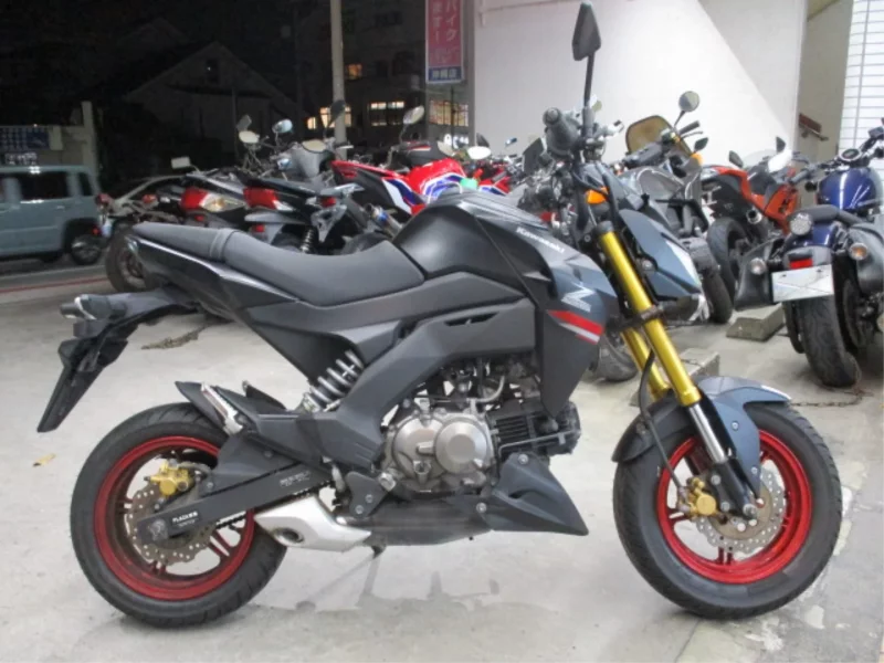 Kawasaki Z125 PRO