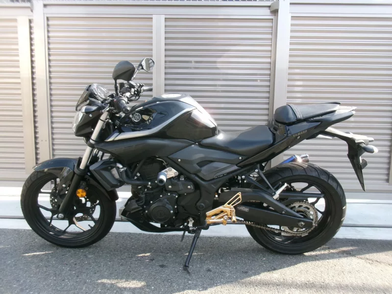 Yamaha MT-25