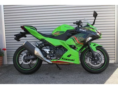 Kawasaki Ninja 250 KRT ED